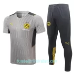 BVB Borussia Dortmund Trainingstrikotanzüge 2022/23 Hellgraue