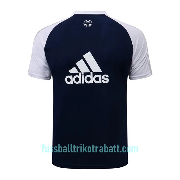 Real Madrid Trainingstrikotanzüge 2022/23 Blau-Weiß