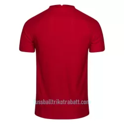 Günstige Norwegen Herrentrikot Heim 2022/23 Kurzarm