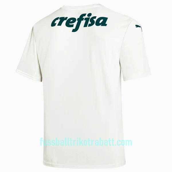 Günstige Palmeiras Herrentrikot Auswärts 2022/23 Kurzarm