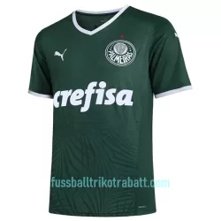 Günstige Palmeiras Herrentrikot Heim 2022/23 Kurzarm Günstige Palmeiras Herrentrikot Heim 2022/23 Kurzarm
