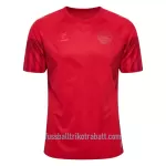 Günstige Dänemark Herrentrikot Heim WM 2022 Kurzarm