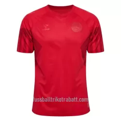 Günstige Dänemark Herrentrikot Heim WM 2022 Kurzarm Günstige Dänemark Herrentrikot Heim WM 2022 Kurzarm