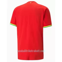 Günstige Ghana Herrentrikot Auswärts WM 2022 Kurzarm