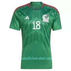 Günstige Mexiko A.GUARDADO 18 Herrentrikot Heim WM 2022 Kurzarm