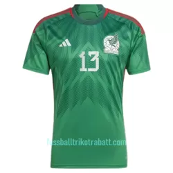 Günstige Mexiko G.OCHOA 13 Herrentrikot Heim WM 2022 Kurzarm