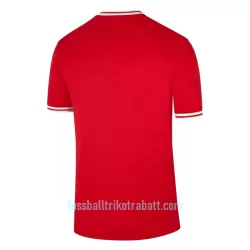 Günstige Polen Herrentrikot Auswärts WM 2022 Kurzarm