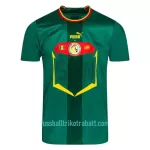 Günstige Senegal Herrentrikot Auswärts WM 2022 Kurzarm