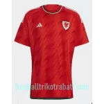 Günstige Wales Herrentrikot Heim WM 2022 Kurzarm