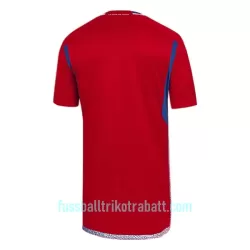 Günstige Chile Herrentrikot Heim 2022 Kurzarm