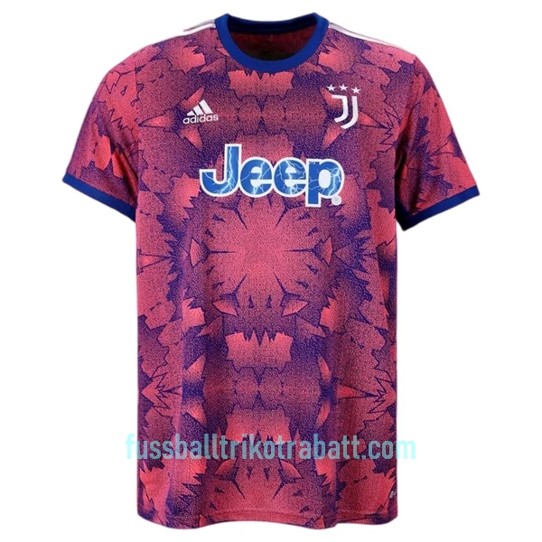 Günstige Juventus Turin Pogba 10 Herrentrikot Ausweich 2022/23 Kurzarm