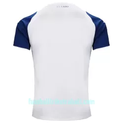 Günstige Lazio Rom Herrentrikot Ausweich 2022/23 Kurzarm