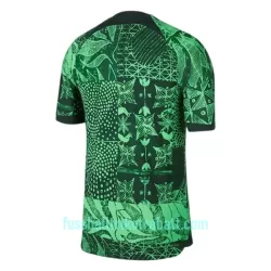 Günstige Nigeria Herrentrikot Heim 2022 Kurzarm