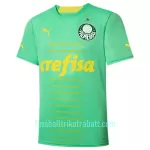 Günstige Palmeiras Herrentrikot Ausweich 2022/23 Kurzarm