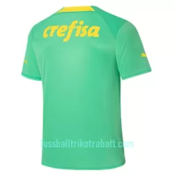 Günstige Palmeiras Herrentrikot Ausweich 2022/23 Kurzarm