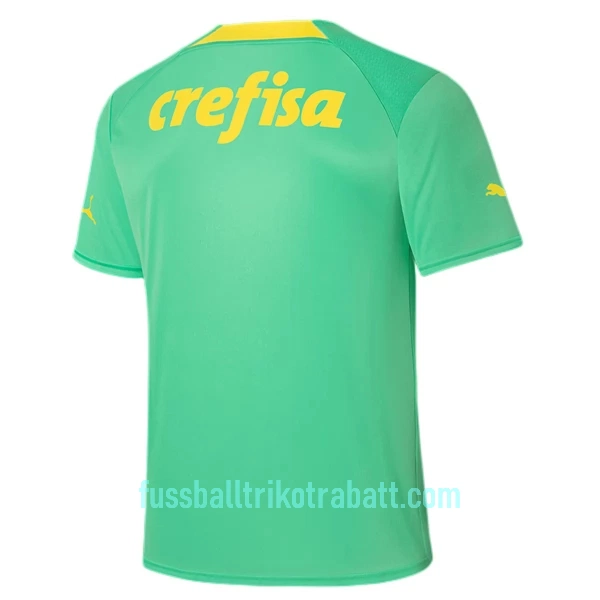 Günstige Palmeiras Herrentrikot Ausweich 2022/23 Kurzarm