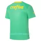 Günstige Palmeiras Herrentrikot Ausweich 2022/23 Kurzarm