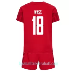 Günstige Dänemark Daniel Wass 18 Kindertrikot Heim WM 2022 Kurzarm Günstige Dänemark Daniel Wass 18 Kindertrikot Heim WM 2022 Kurzarm