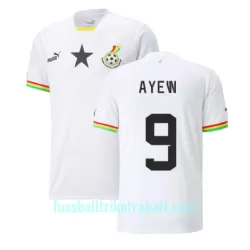 Günstige Ghana Ayew 9 Herrentrikot Heim Jordan WM 2022 Kurzarm Günstige Ghana Ayew 9 Herrentrikot Heim Jordan WM 2022 Kurzarm