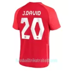 Günstige Kanada Jonathan David 20 Herrentrikot Heim WM 2022 Kurzarm