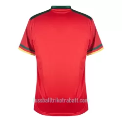 Günstige Kamerun Herrentrikot Ausweich WM 2022 Kurzarm