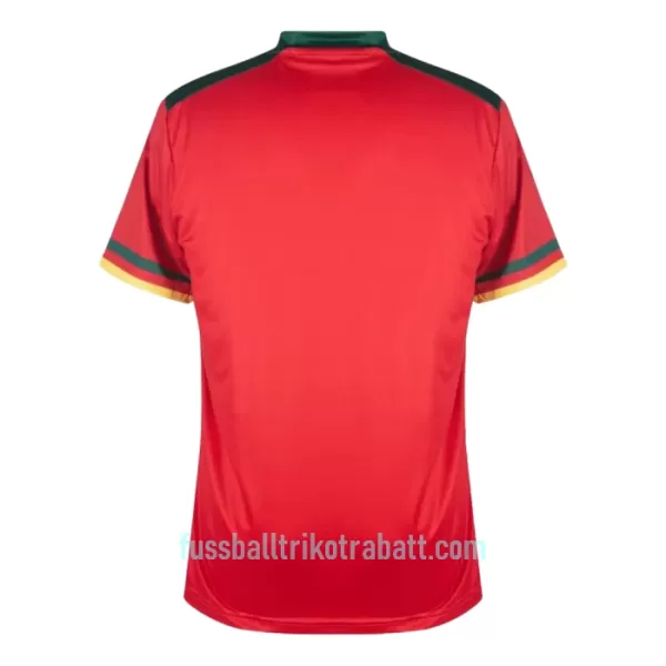 Günstige Kamerun Herrentrikot Ausweich WM 2022 Kurzarm