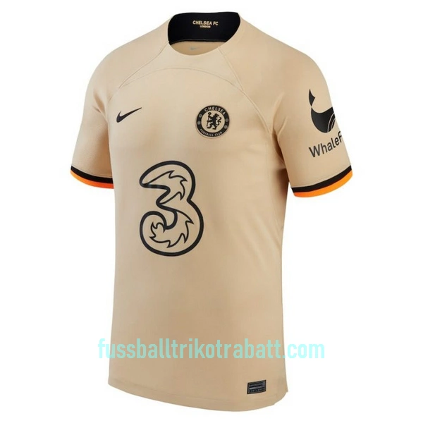 Günstige Chelsea Havertz 29 Herrentrikot Ausweich 2022/23 Kurzarm