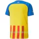 Günstige FC Valencia Kindertrikot Ausweich 2022/23 Kurzarm