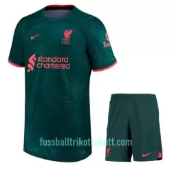 Günstige Liverpool Kindertrikot Ausweich 2022/23 Kurzarm Günstige Liverpool Kindertrikot Ausweich 2022/23 Kurzarm