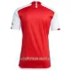 Günstige Arsenal Herrentrikot Heim 2023/24 Kurzarm
