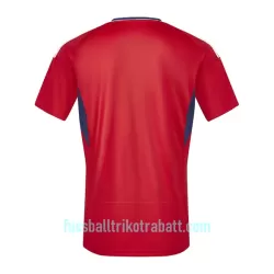 Günstige Costa Rica Herrentrikot Heim 2023 Kurzarm