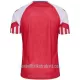 Günstige Dänemark Herrentrikot Heim 2023 Kurzarm
