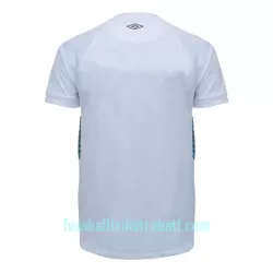 Günstige Grêmio FBPA Herrentrikot Auswärts 2023/24 Kurzarm