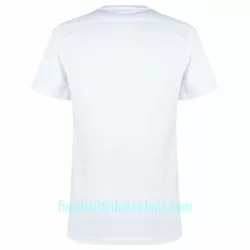 Günstige Griechenland Herrentrikot Ausweich 2023/24 Kurzarm