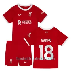 Günstige Liverpool Gakpo 18 Kindertrikot Heim 2023/24 Kurzarm