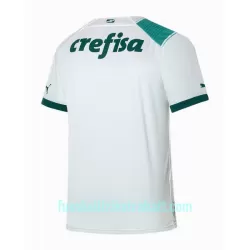 Günstige Palmeiras Herrentrikot Auswärts 2023/24 Kurzarm