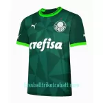 Günstige Palmeiras Herrentrikot Heim 2023/24 Kurzarm