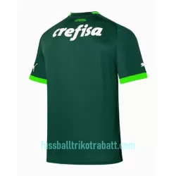 Günstige Palmeiras Herrentrikot Heim 2023/24 Kurzarm