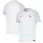 Günstige Galatasaray SK Herrentrikot Auswärts 2023/24 Kurzarm