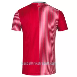 Günstige Southampton Herrentrikot Heim 2023/24 Kurzarm