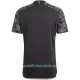 Günstige Ajax Herrentrikot Ausweich 2023/24 Kurzarm