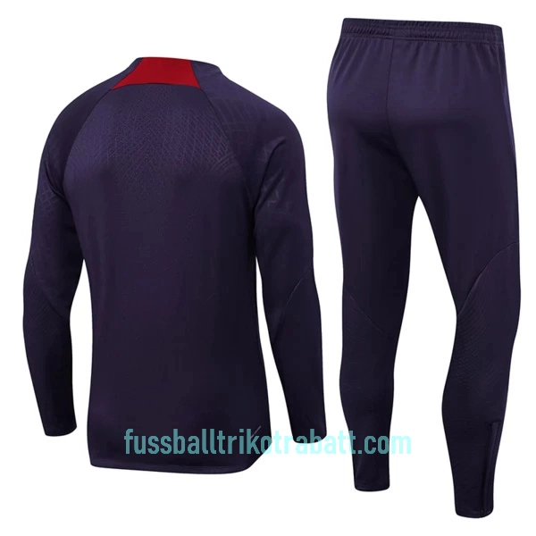 Paris Saint-Germain Sweatshirts Anzüge 2023/24 Viertelreißverschluss Lila