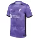Günstige Liverpool Herrentrikot Ausweich 2023/24 Kurzarm