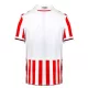 Günstige Stoke City Herrentrikot Heim 2023/24 Kurzarm