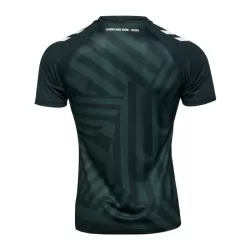 Günstige Werder Bremen Herrentrikot Ausweich 2023/24 Kurzarm