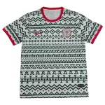 Günstige Nigeria Herrentrikot 2023/24 Kurzarm - Speziell