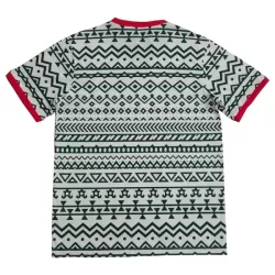 Günstige Nigeria Herrentrikot 2023/24 Kurzarm - Speziell