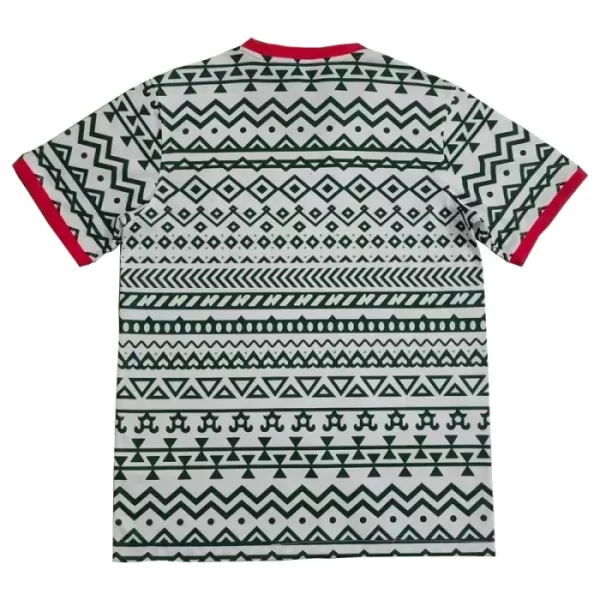 Günstige Nigeria Herrentrikot 2023/24 Kurzarm - Speziell