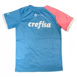 Günstige Palmeiras Herrentrikot 2023/24 Kurzarm - Speziell