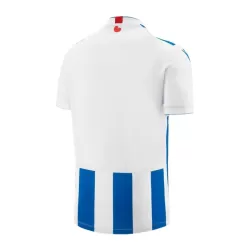 Günstige SC Heerenveen Herrentrikot Heim 2023/24 Kurzarm